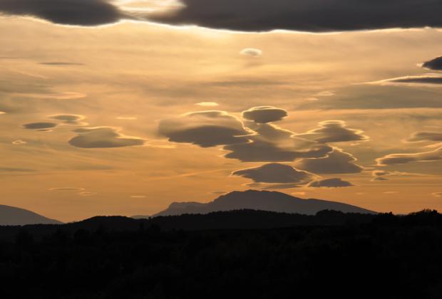 el_miracle_-_primavera_2014_18