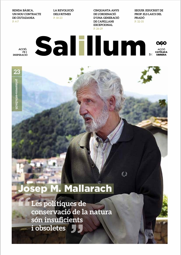 SALILLUM N. 23