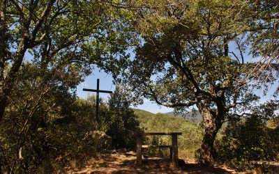 Maria Bargalló: «L’ACO ens ajuda a avançar en el camí de conversió ecològica»