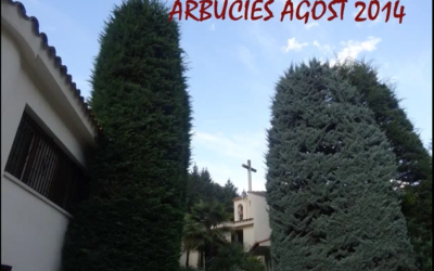 Exercicis d’estiu 2014: imatge vídeo