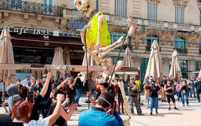 Les protestes dels Armilles Grogues tenen
el seu germen en l’aplicació d’una ecotaxa a
tot el territori francès i la revolta a la illa de
Martinica per la injustícia d’aplicar-la en un
territori sense transport públic que necessita
del cotxe privat. Foto: Josep Bonet