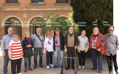 Els grups de Revisió de Vida, protagonistes sinodals del Consell